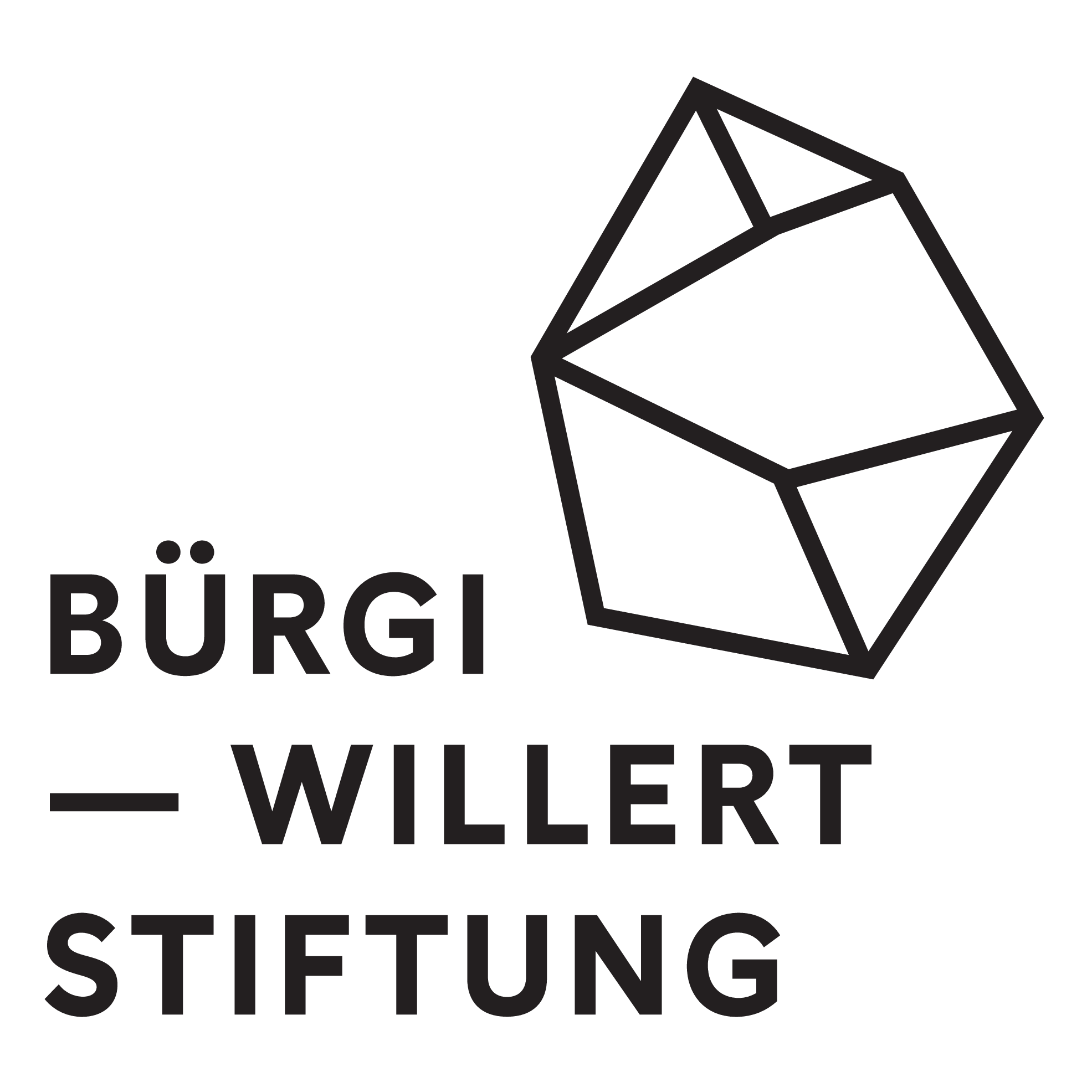 Bürgi Willert Stiftung